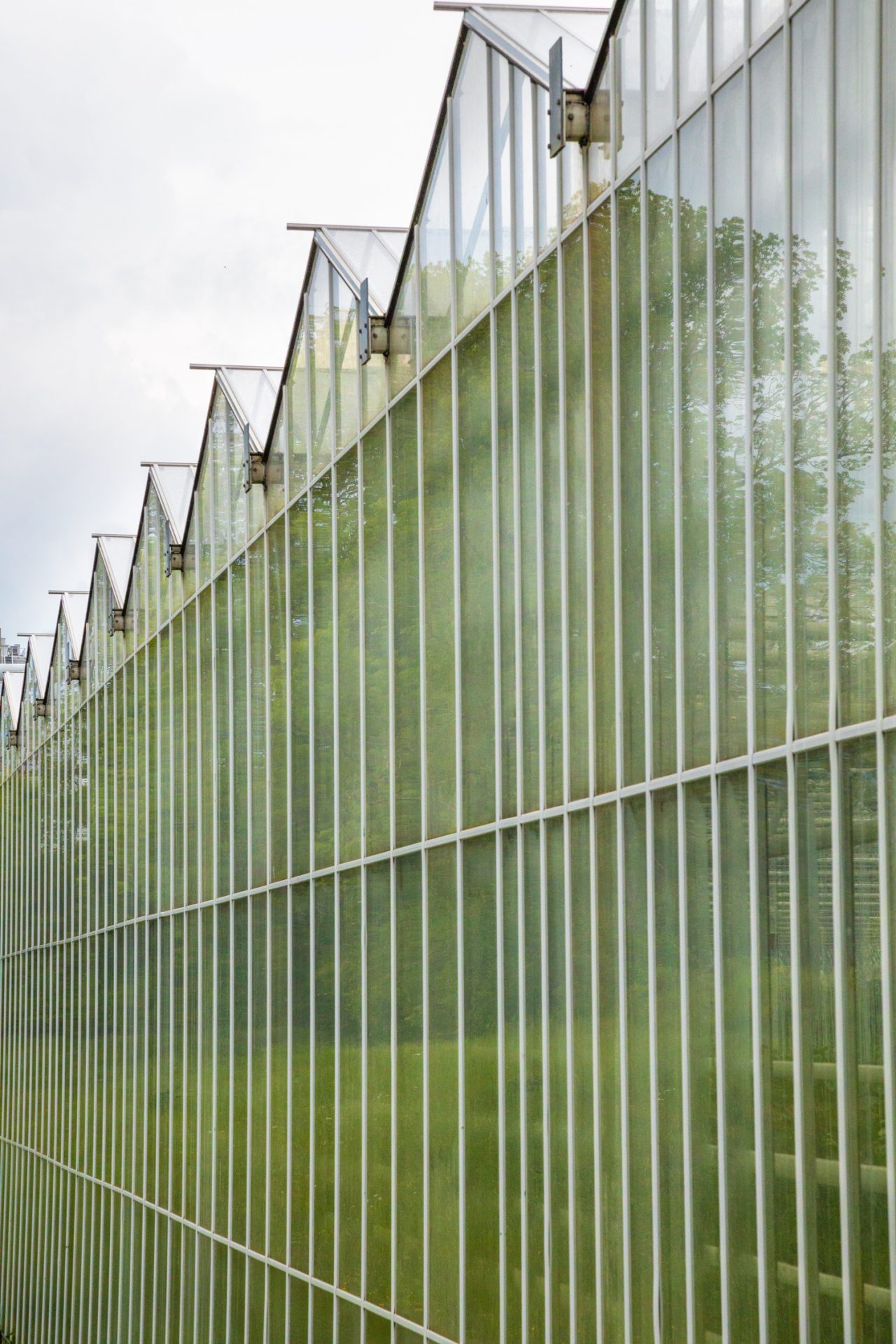 Repair Carbon Will Co2 Effizienter Aus Der Luft Filtern – EEJIOQ