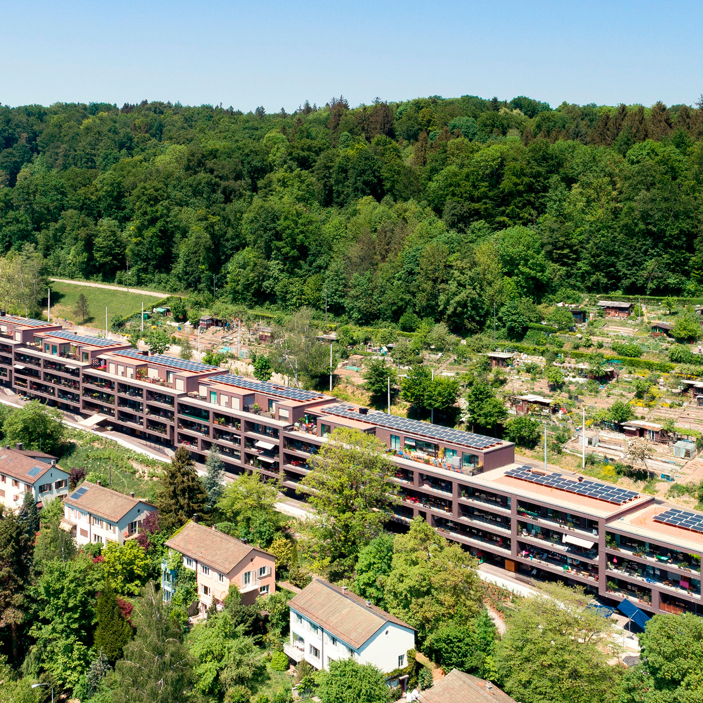 Sicht auf die Genossenschaftswohnungen an der Tièchstrasse aus der Vogelperspektive