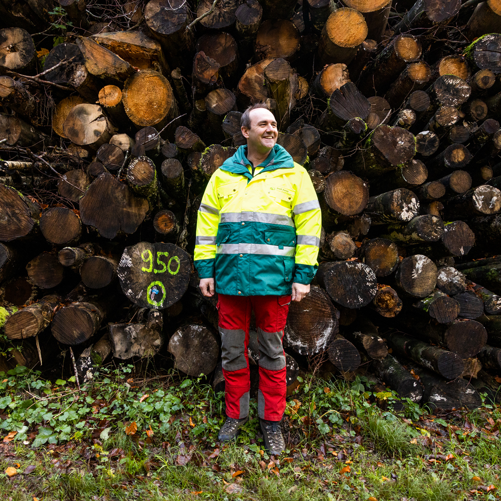 powernewz_Urbaner_Wald_15A0415
