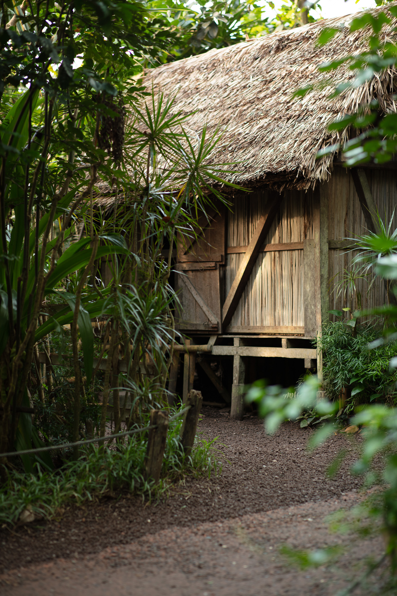 Strohhütte eingefasst von Dschungelpflanzen