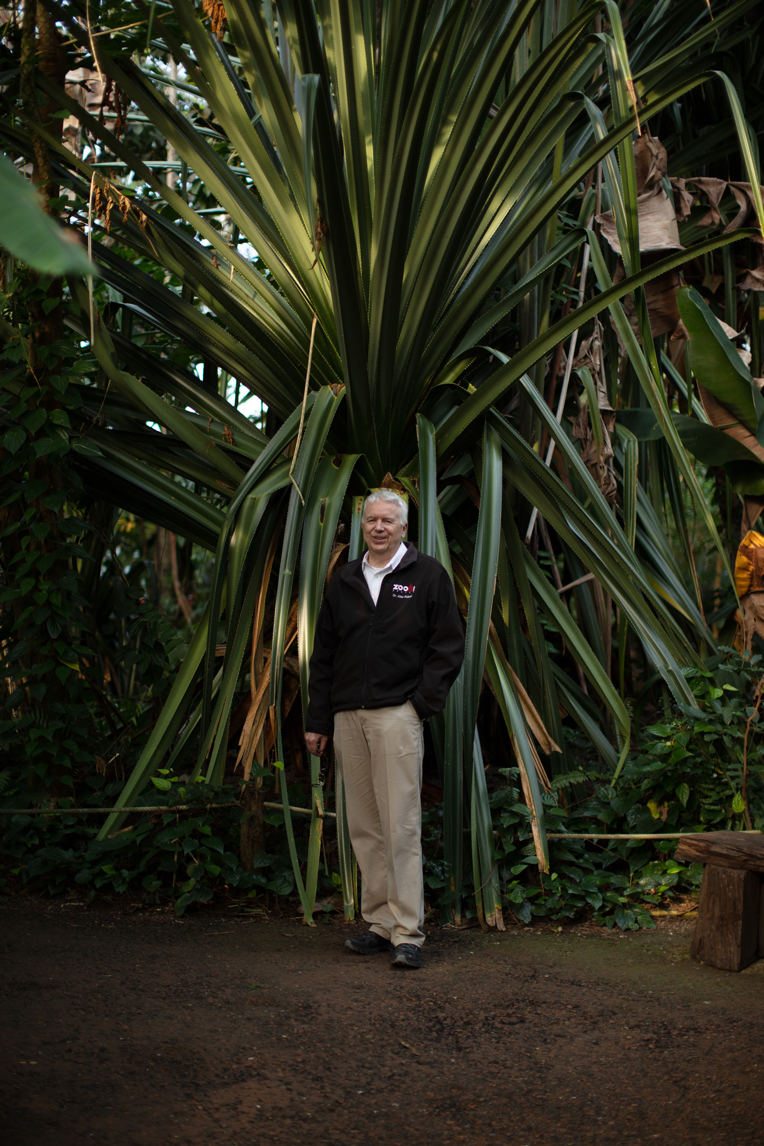 Zoodirektor Alex Rübel steht vor einer riesengrossen Pflanze