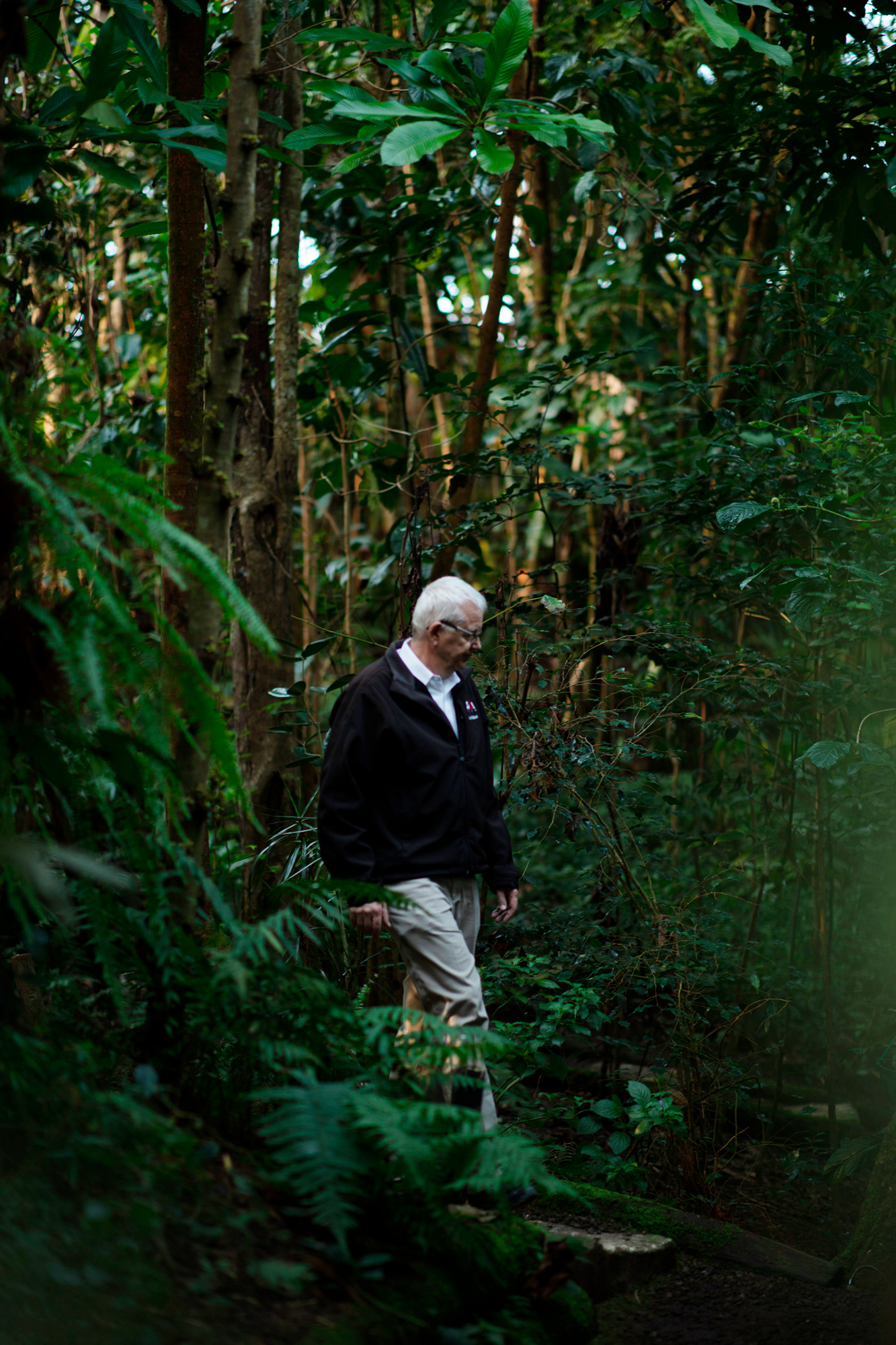 Zoodirektor Alex Rübel läuft durch die Masoalahalle, im Hintergrund dichte Bäume