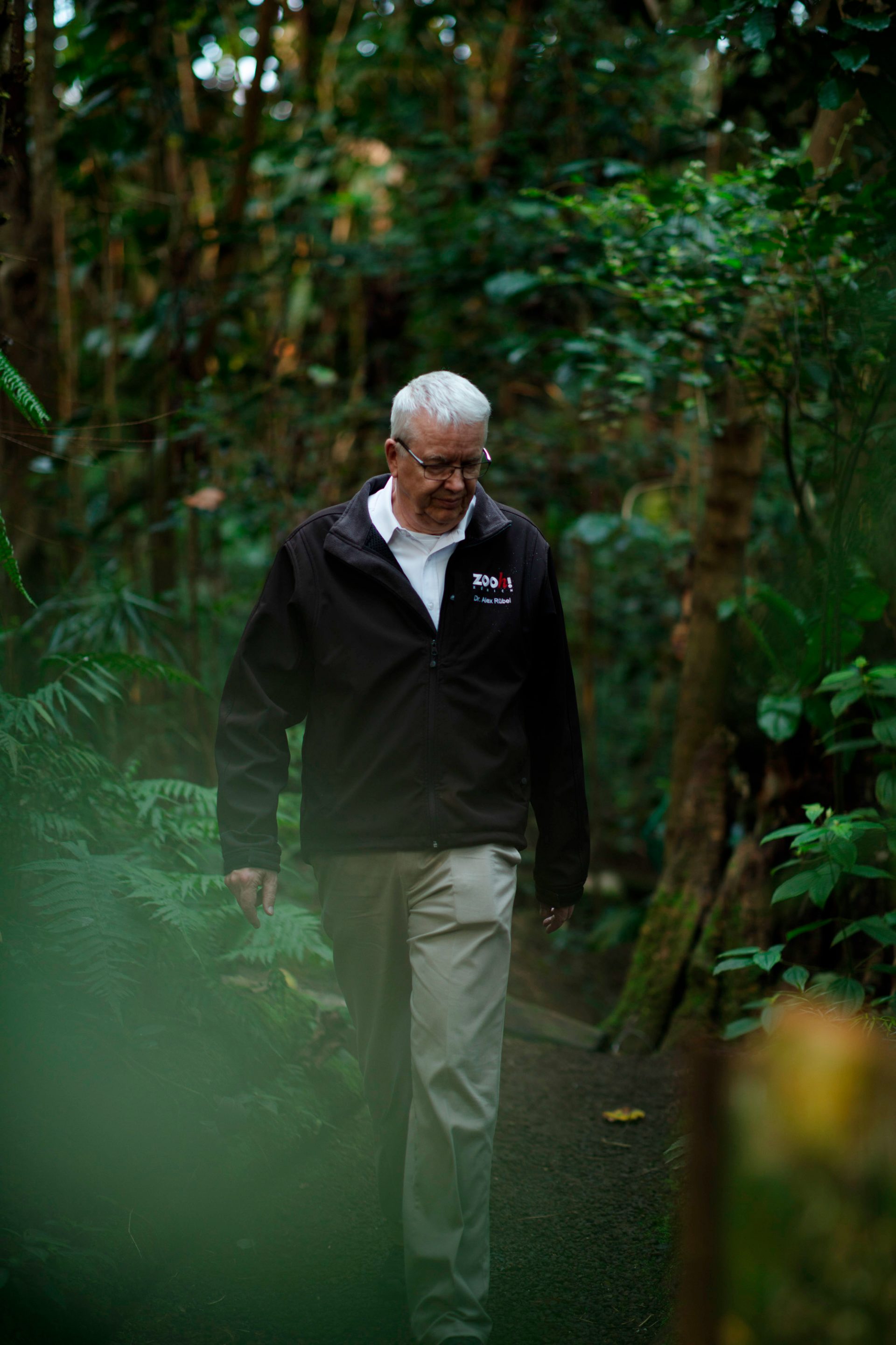 Zoodirektor Alex Rübel läuft durch die Masoalahalle, im Hintergrund dichte Bäume