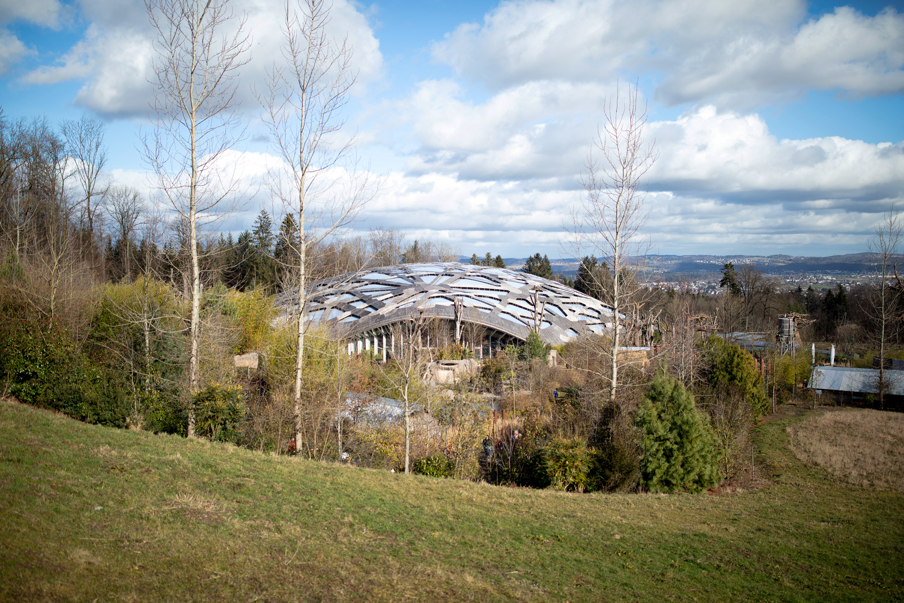 Im Hintergrund die Kuppel des Elefantenhauses, welche eingefasst wird von Bäumen und Sträuchern.