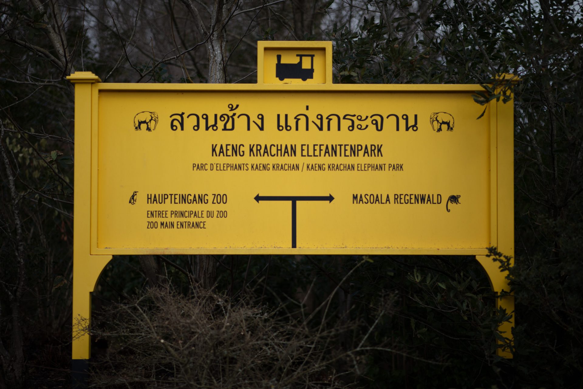 Ein gelbes, schön verziertes Hinweisschild weist die Richtung zum Elefantenpark