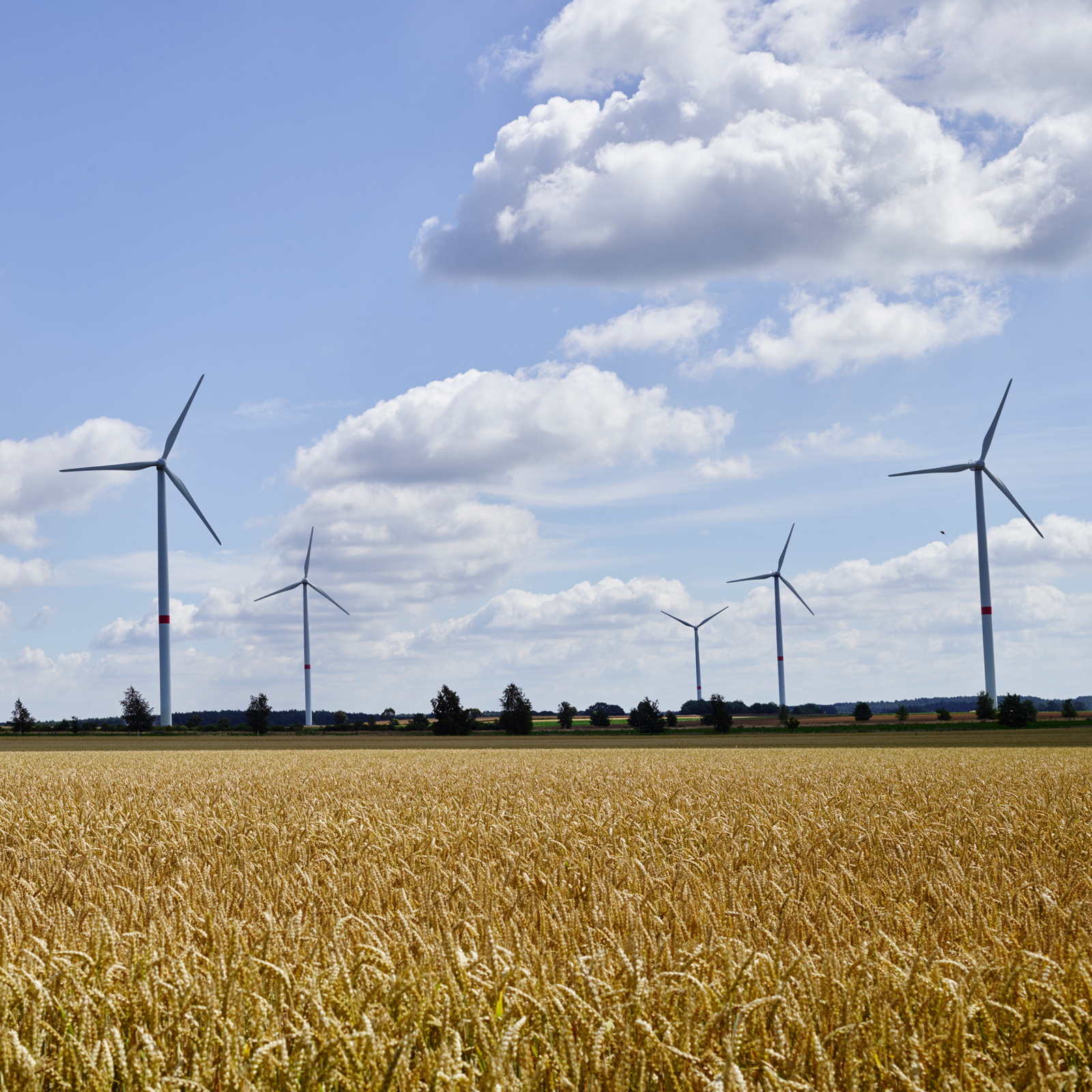 Windräder des ewz Windparks Dörmte in Deutschland