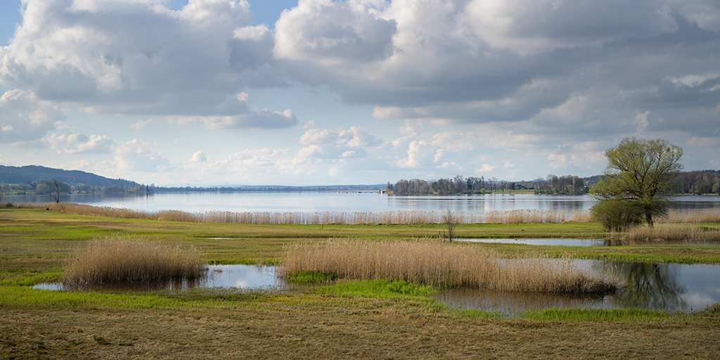 Moore und Moorlandschaften  alles Wissenswerte im berblick