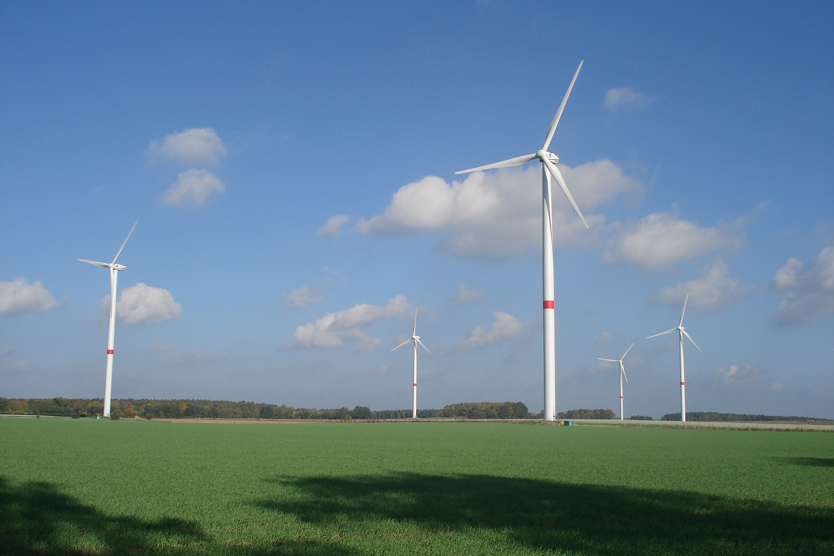 Mehrere Windräder, die zwischen Feldern stehen.