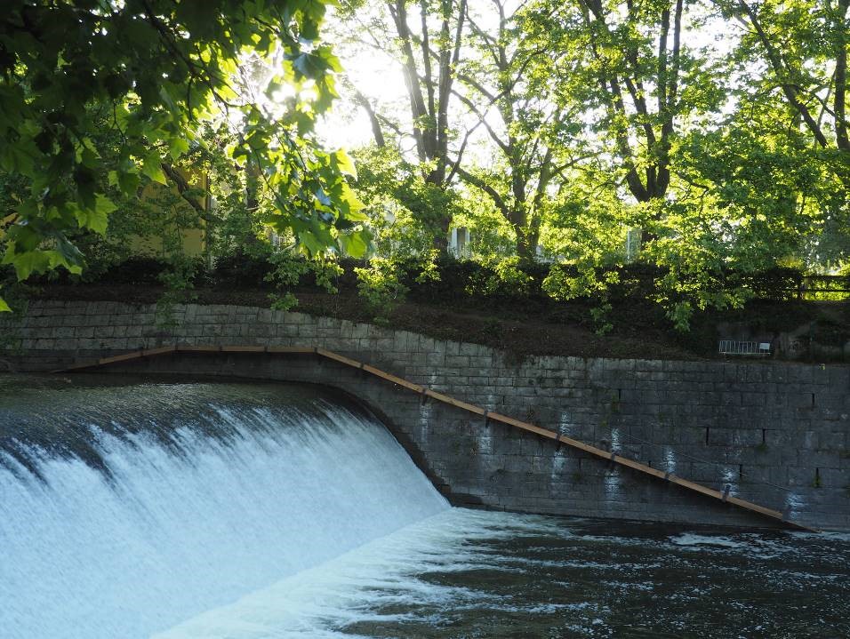 Biberfreundliche Rampe an einem Wasserbauwerk in Zürich, die wandernden Tieren in der Stadt Zürich hilft und die Biodiversität fördert.